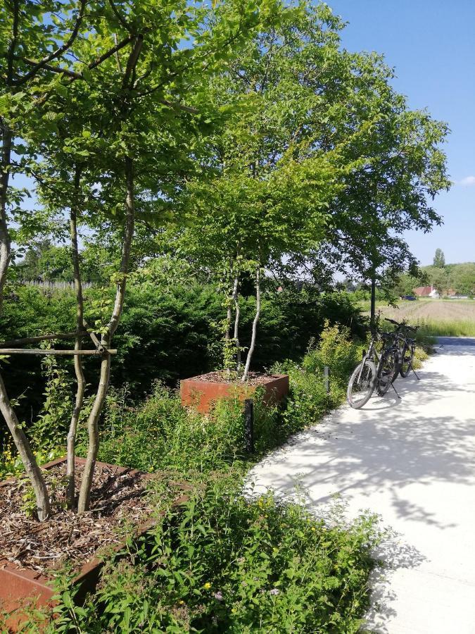 B&B De Stuifduinen Wetteren Exterior foto
